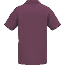 polo verso.webp